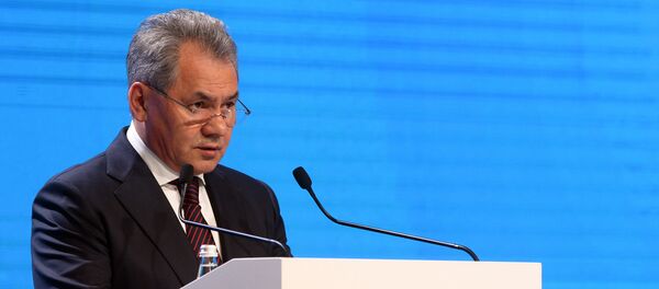 Ministar odbrane Rusije Sergej Šojgu - Sputnik Srbija