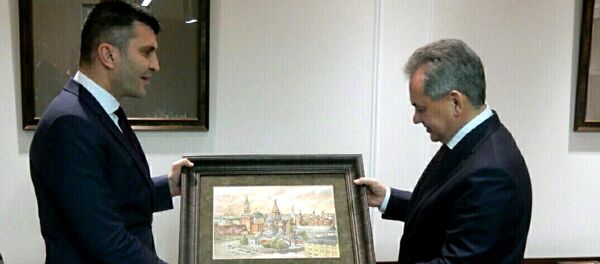 Министри одбране Србије и Русије Зоран Ђорђевић и Сергеј Шојгу Министри одбране Србије и Русије Зоран Ђорђевић и Сергеј Шојгу - Sputnik Србија