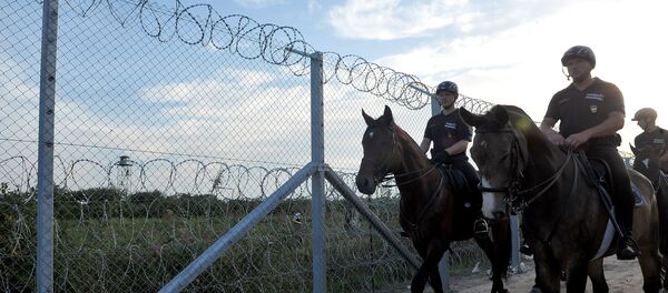 Mađarska policija na granici - Sputnik Srbija