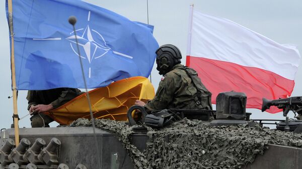 Пољски војник на војним вежбама НАТО-а - Sputnik Србија