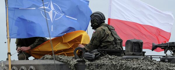 Poljski vojnik na vojnim vežbama NATO-a - Sputnik Srbija