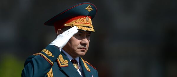 Ministar odbrane Sergej Šojgu - Sputnik Srbija