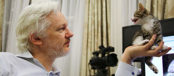 Oснивач Викиликса Џулијан Асанж са мачком у амбасади Еквадора у Лондону Oснивач Викиликса Џулијан Асанж са мачком у амбасади Еквадора у Лондону - Sputnik Србија