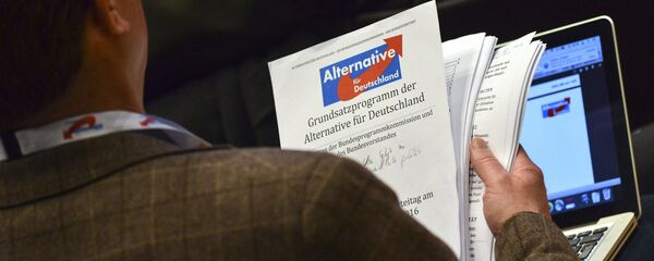 Посланик држи програм партије на конгресу Алтернативе за Немачку у Штутгарту на југу Немачке. - Sputnik Србија