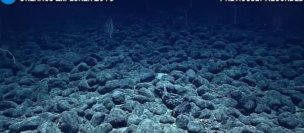 Океан Океан - Sputnik Србија