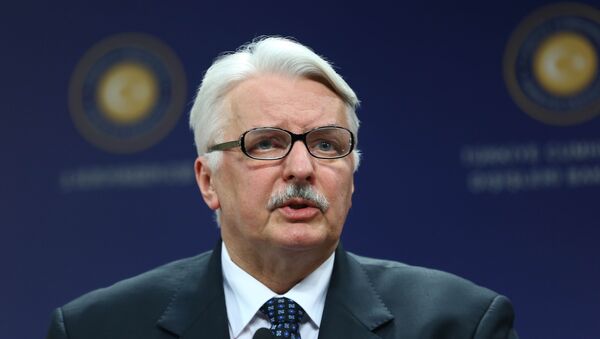 Ministar spoljnih poslova Poljske Vitold Vaščikovski tokom konferencije za medije u Ankari - Sputnik Srbija