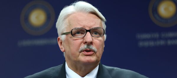 Министар спољних послова Пољске Витолд Вашчиковски током конференције за медије у Анкари - Sputnik Србија