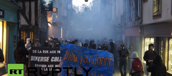 Protesti u Renu - Sputnik Srbija