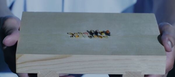 Не бисте веровали какве испите полажу будући јапански хирурзи - Sputnik Србија