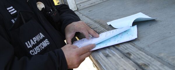 Српски цариник прегледа робу - Sputnik Србија