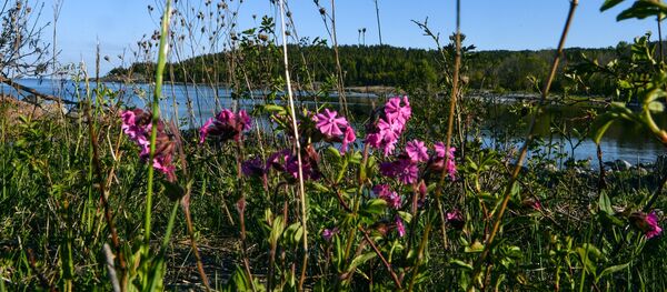 Острво Гогланд у Финском заливу - Sputnik Србија