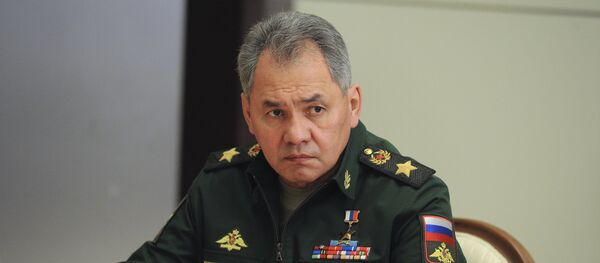 Ministar odbrane Rusije Sergej Šojgu - Sputnik Srbija