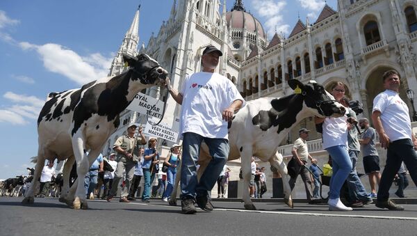 Протест пољопривредника у Будимпешти - Sputnik Србија