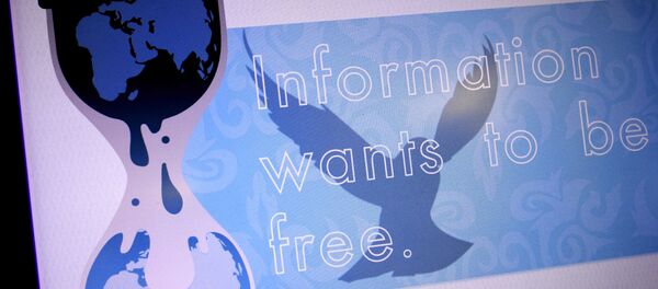 Сајт Викиликс - Sputnik Србија