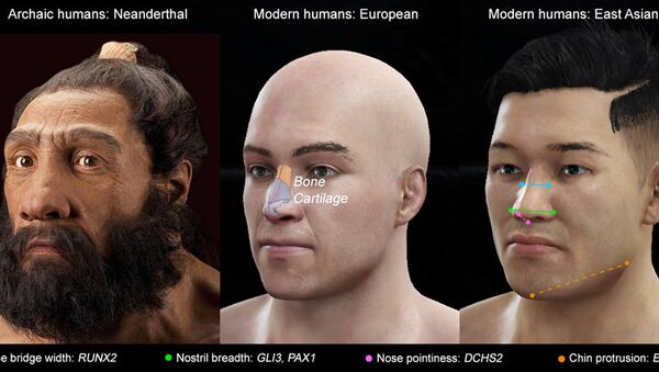 Различити типови носа и гени одговорни за то - Sputnik Србија