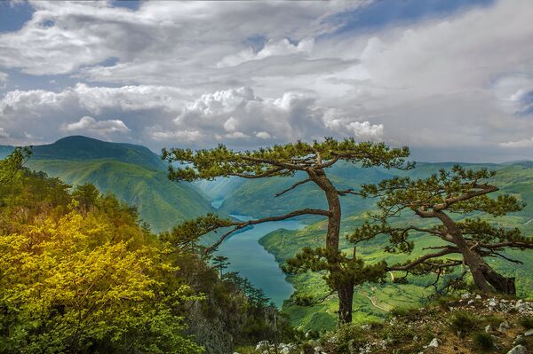 Опасно лето 2020: Срби иду куд они желе, никад по обележеној стази — док се не изгубе - Sputnik Србија