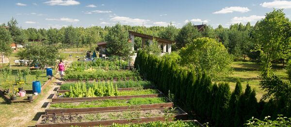 Poljoprivreda, Rusija - Sputnik Srbija