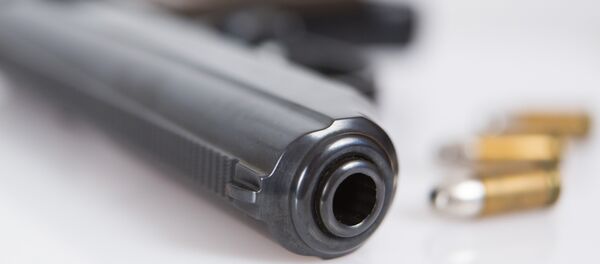 Пиштољ и муниција - Sputnik Србија