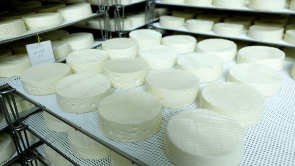 Влада Србије: Подршка производњи домаћих производа од млека и развоју сеоског туризма