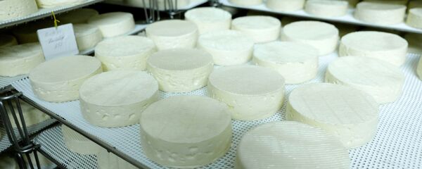 Производња сира Производња сира - Sputnik Србија