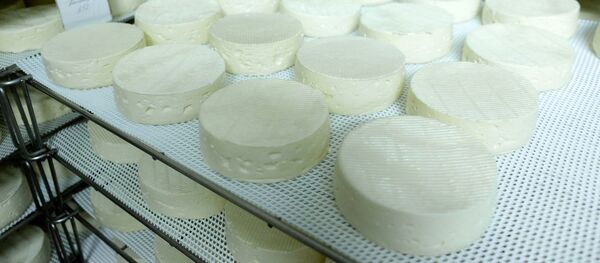 Производња сира - Sputnik Србија