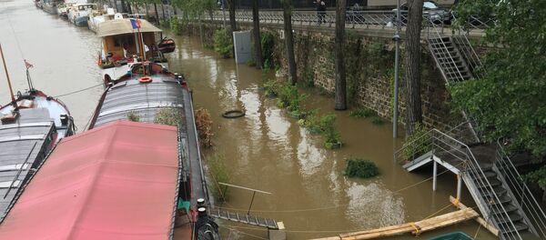 Сена се излила у центру Париза. - Sputnik Србија