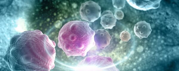 Ćelije raka u 3D - Sputnik Srbija