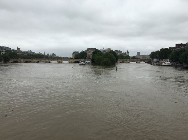 Сена на максимуму у Паризу. - Sputnik Србија