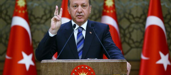 Predsednik Turske Redžep Tajip Erdogan - Sputnik Srbija