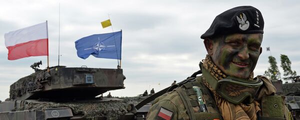 Poljski vojnik na vojnim vežbama NATO-a u Zaganu Poljski vojnik na vojnim vežbama NATO-a u Zaganu - Sputnik Srbija