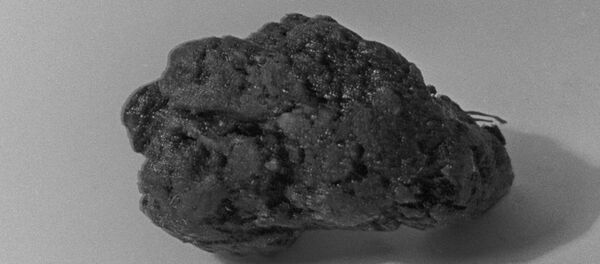 Mumio - smola sa Altaja i ruski prirodni lek Mumio - smola sa Altaja i ruski prirodni lek - Sputnik Srbija