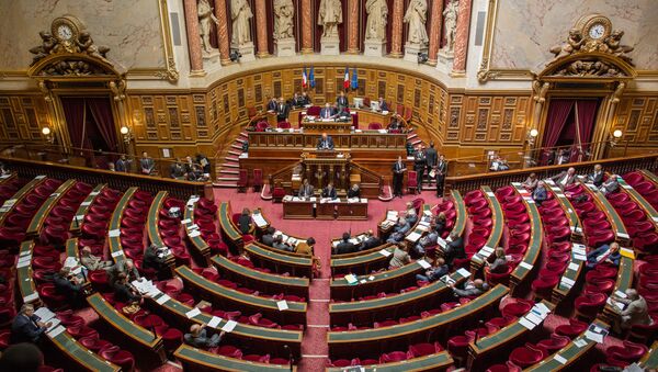 Сенатори током заседања француског парламента - Sputnik Србија
