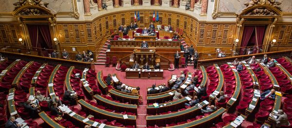 Сенатори током заседања француског парламента - Sputnik Србија