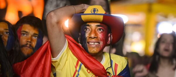 Navijač Rumunije na Evropskom prvenstvu u fudbalu 2016. u Francuskoj Navijač Rumunije na Evropskom prvenstvu u fudbalu 2016. u Francuskoj - Sputnik Srbija