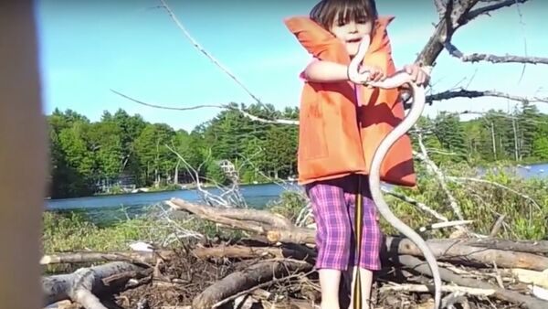 Little Girl Finds a Giant Snake - Sputnik Србија
