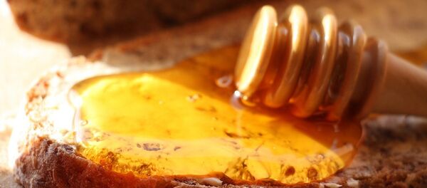 Мед и хлеб - Sputnik Србија