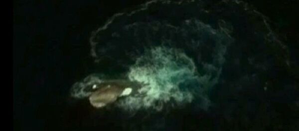 Кракен - Sputnik Србија