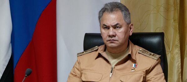 Сергеј Шојгу - Sputnik Србија
