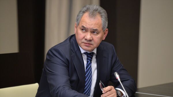 Ministar odbrane Rusije Sergej Šojgu - Sputnik Srbija