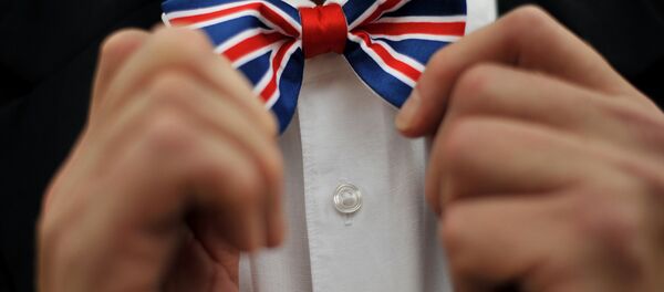 Проевроспки лоби у Британији-илустрација - Sputnik Србија