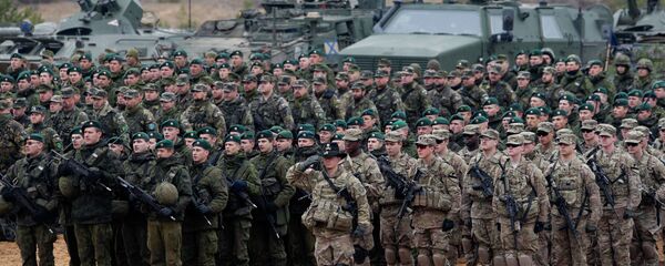 Припадници америчке војске, Други батаљон, Осми коњички пук, Прва бригада, Прва коњичка дивизија и припадници Војске Литваније током војне вежбе Гвоздени мач 2014 у Пабради у Литванији. - Sputnik Србија