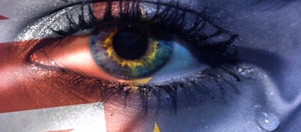 Bregzit-ilustracija - Sputnik Srbija