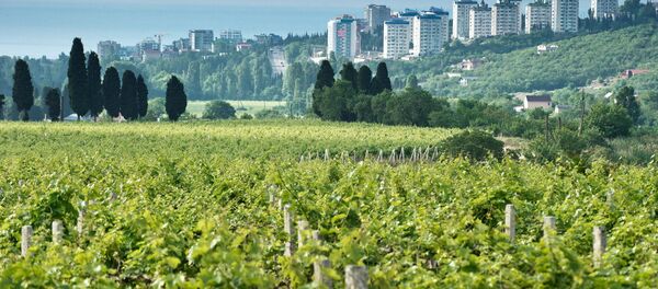 Крим Крим - Sputnik Србија