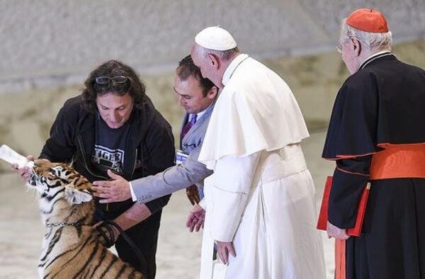 Папа престравио тигра - Sputnik Србија