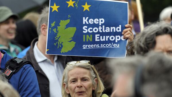 Жена носи транспарент на митингу присталица останка Велике Британије у ЕУ испред Парламента Шкотске у Единбургу. - Sputnik Србија