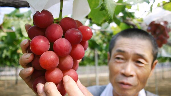 Јапански фармер Тсутому Такемори показује грозд врсте Романски рубин у префектури Ишикава на северу Јапану - Sputnik Србија