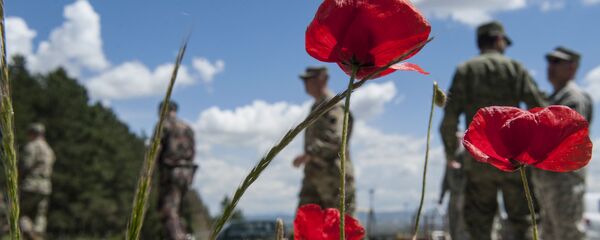 Vojnici Kfora na KiM Vojnici Kfora na KiM - Sputnik Srbija