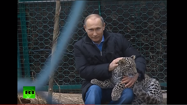 Владимир Путин укротио леопарда - Sputnik Србија
