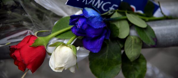 Француска напад - Sputnik Србија