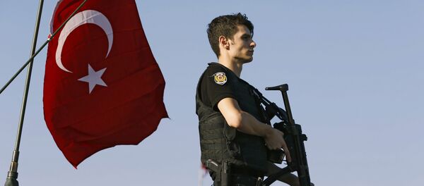 Полицајац на војним оклопним возилима на Босфорском мосту у Истанбулу након покушаја државног удара у Турској, 16. јул 2016. - Sputnik Србија